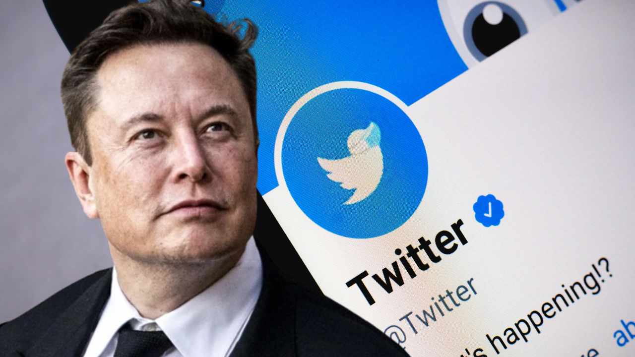 Twitter Elon Image